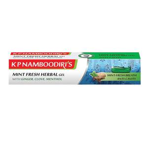 K P Namboodiris Mint Fresh Herbal Toothpaste 96g